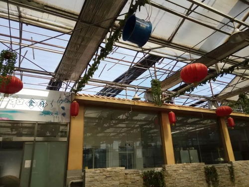 光伏溫室頂棚材料升級(jí) 透明陽(yáng)光板替換塑料板，抗紫外線防冰雹更劃算