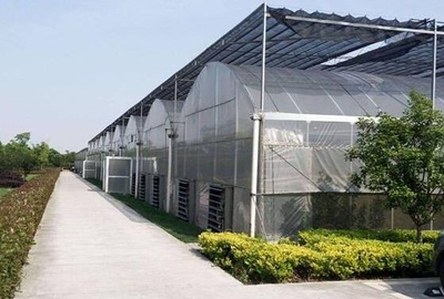 綠色保障，信譽(yù)見證 安慶市陽光板連棟溫室大棚庫存充足之優(yōu)勢解析